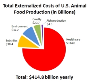 animal-food-production
